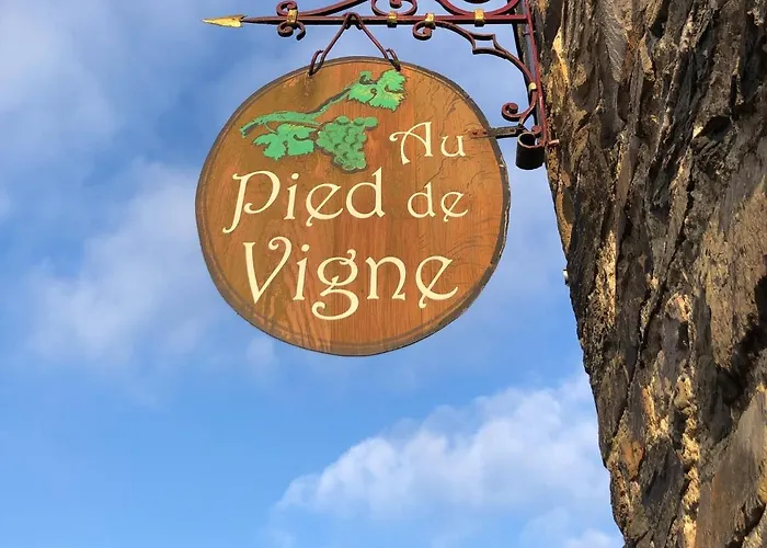Apparthôtel Au Pied de Vigne